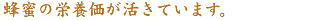Ỉh{Ă܂B
